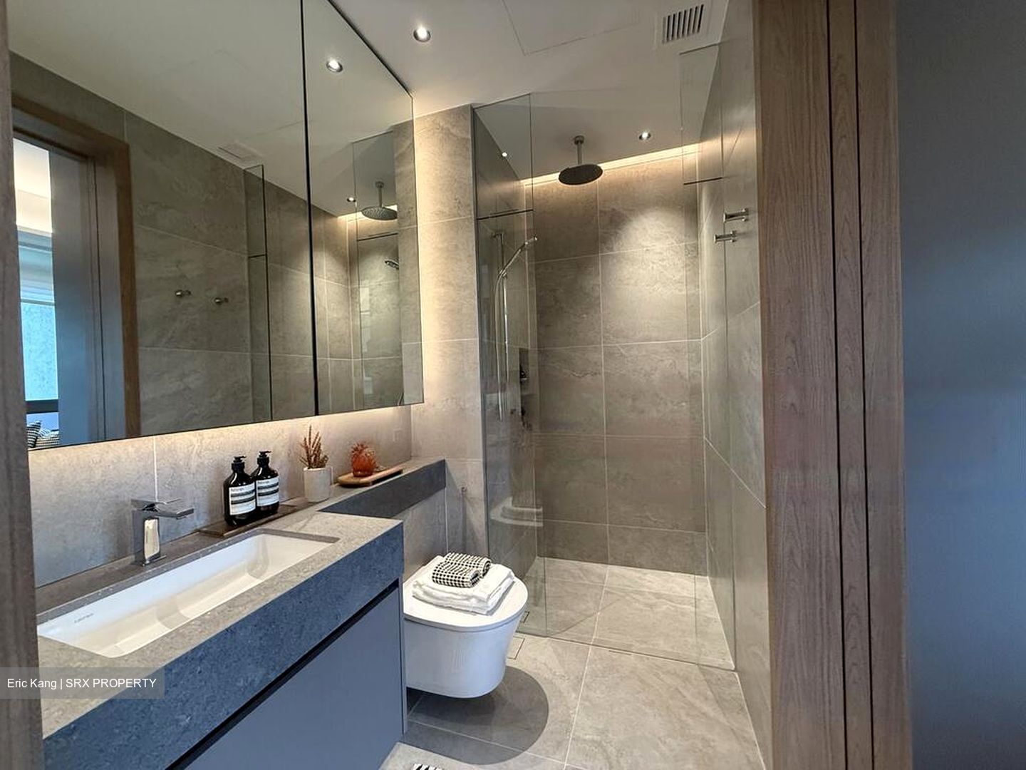 Aurea (D7), Apartment #467173891